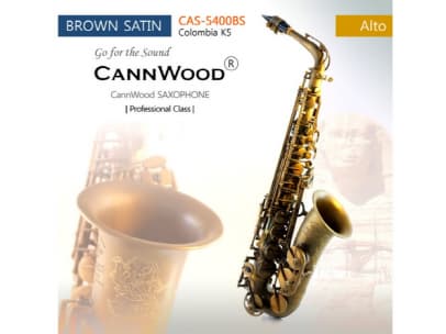 CannWood Saxophone_ _ Professional Class _ CAS_5400BS _